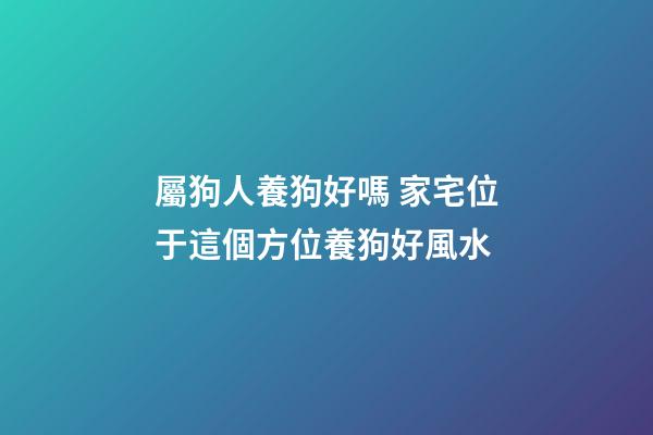 屬狗人養狗好嗎 家宅位于這個方位養狗好風水